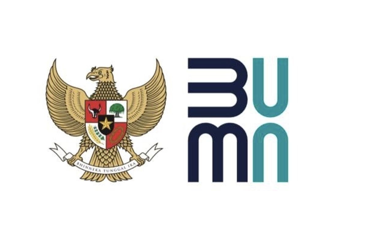 Daftar Lengkap 26 Wakil Menteri Jadi Komisaris BUMN
