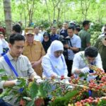 Gibran: Kopi Indonesia Raih Posisi 4 Dunia, Jaga Mutu!
