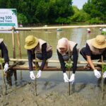 KAI Logistik: Tanam 500 Bibit Mangrove, Lestarikan Lingkungan Kita