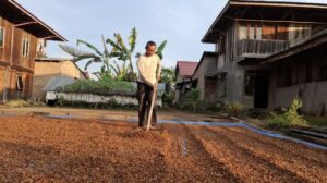 Kopi Indonesia: Sejahtera Petani, Jadi Produsen Terbesar Keempat Dunia