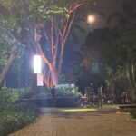 Misteri Taman Langsat: Isu Mesum, Fakta Mengejutkan Terungkap