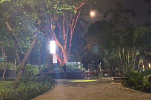 Misteri Taman Langsat: Isu Mesum, Fakta Mengejutkan Terungkap