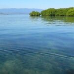 Pulau Dijual Ilegal Online? Negara Tuntut Pemda Sumbawa