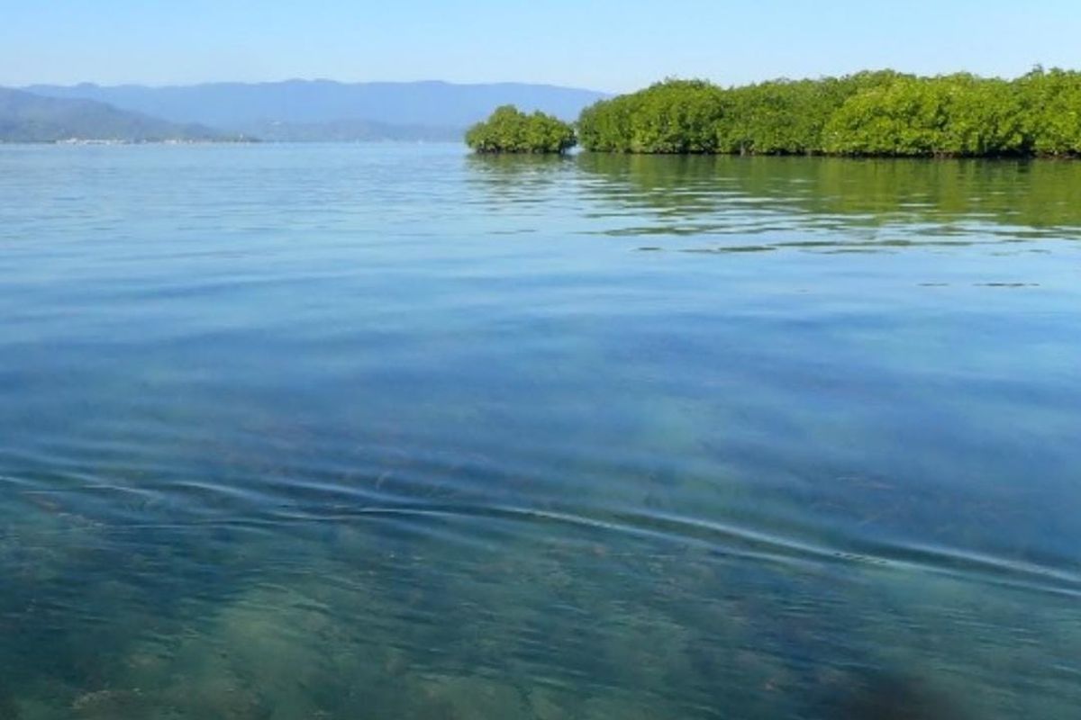 Pulau Dijual Ilegal Online? Negara Tuntut Pemda Sumbawa