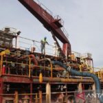 Rusia Borong CPO: Rute Baru Pertamina Tembus Pasar