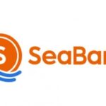SeaBank Pinjam VS Pinjol Lain: Mana yang Terbaik?