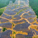 Singapura Bangun Pembangkit Surya Raksasa 50 MW di IKN