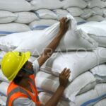 Skandal Pangan: Jaksa Turun Tangan, Apa yang Terjadi?