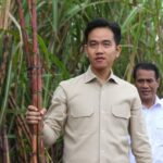 Surat Misterius Baru! Pemakzulan Gibran, DPR Bungkam?