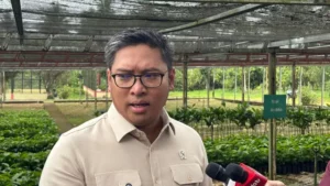 Wamentan Bela Peternak Ayam: Perang Melawan Tengkulak Curang